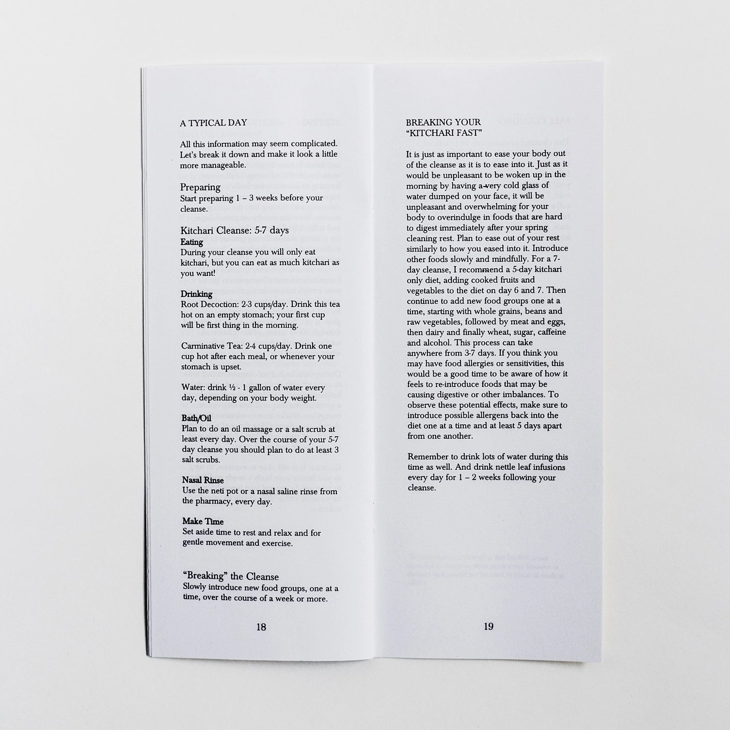 SPRING CLEANING | A zine for spring cleansing and detox