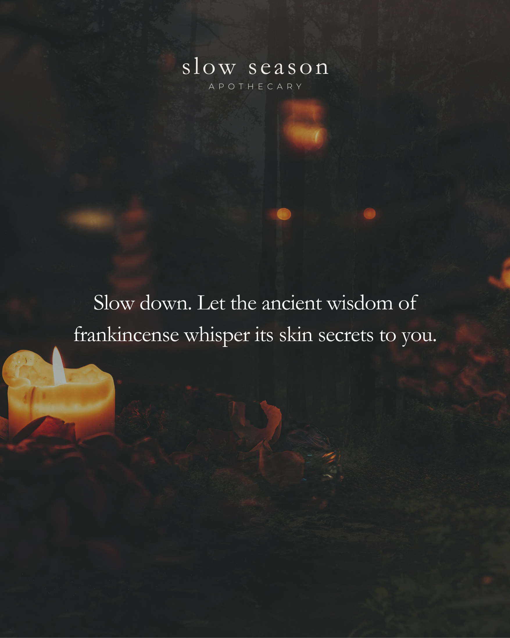 SACRA | Frankincense Ritual Oil | limited microbatch release