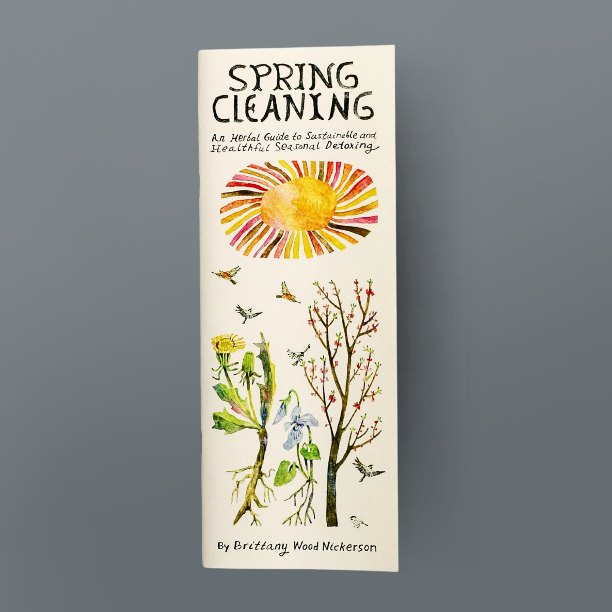 SPRING CLEANING | A zine for spring cleansing and detox