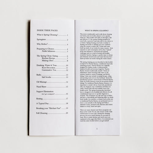 SPRING CLEANING | A zine for spring cleansing and detox